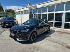 CUPRA Formentor 2.0 TDI 4Drive DSG