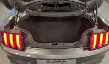 FORD Mustang Fastback 5.0 V8 aut. GT pieno