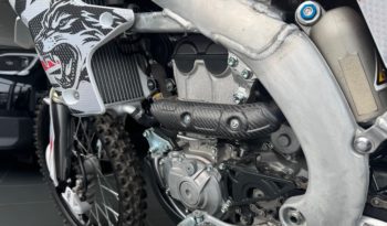 FANTIC MOTOR XEF 250 PARI AL NUOVO pieno