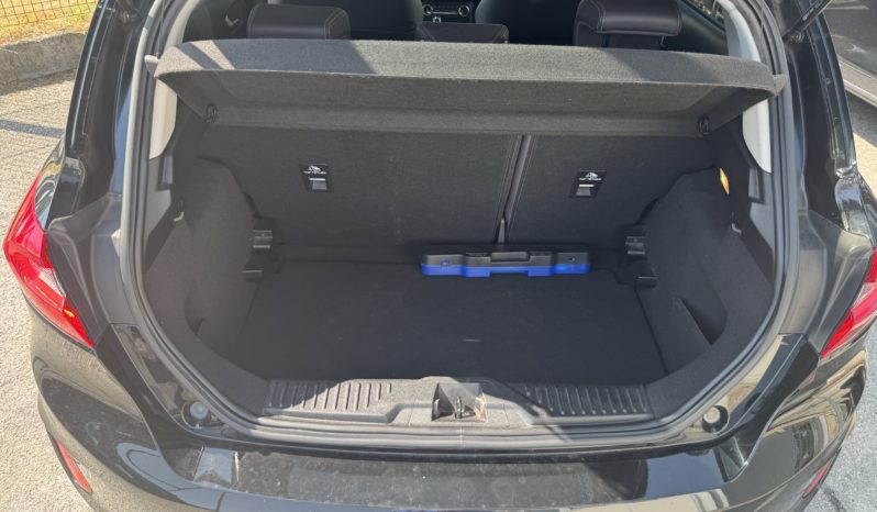 FORD Fiesta 1.5 TDCi 5 porte Vignale pieno